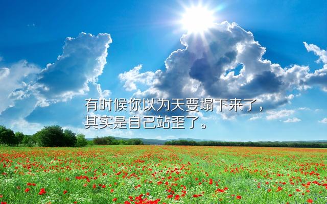 早安心语正能量171122：即使是咸鱼，也要做最咸的那条