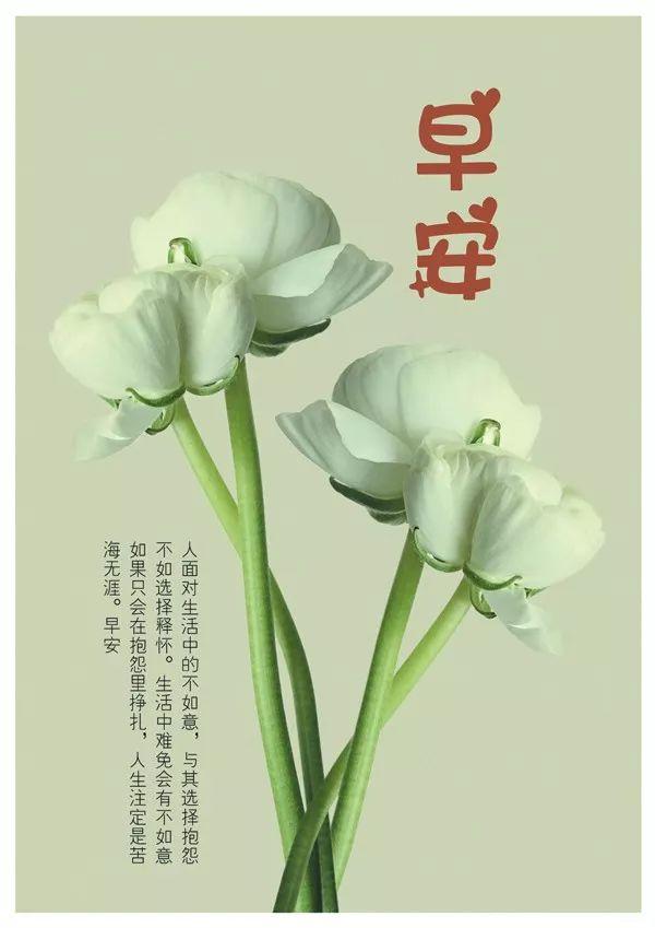 早安心语正能量171122：即使是咸鱼，也要做最咸的那条