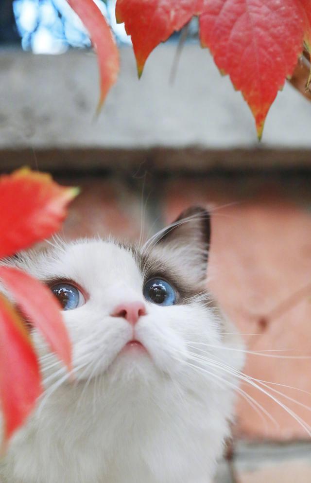 早安美图171115：有生之年，边拥有边清零