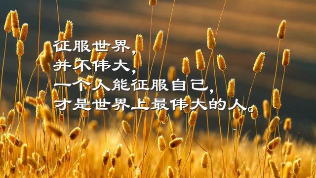 早安心语正能量171119：人生就像骑单车，想保持平衡就得往前走