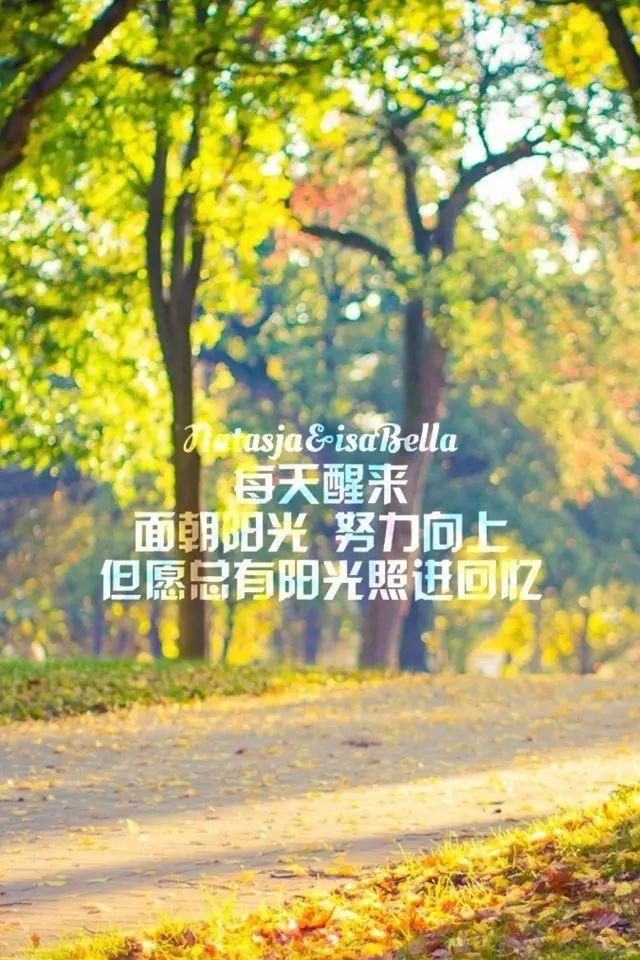 周五早安心语励志190628：玻璃心就该被砸碎几次，不然永远都学不会坚强