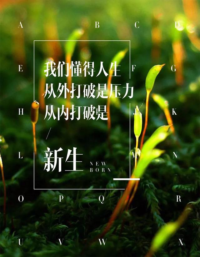 早安心语正能量180123：坚持自己的梦想，即使没有翅膀也能飞翔
