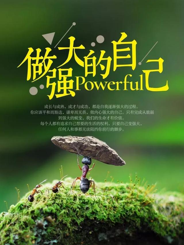 早安心语正能量171122：即使是咸鱼，也要做最咸的那条