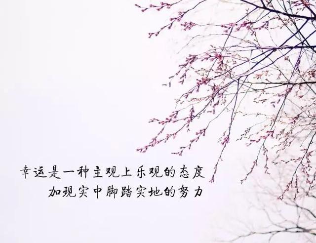 早安正能量心语180201：你总会在黑暗里发现指明人生道路的光