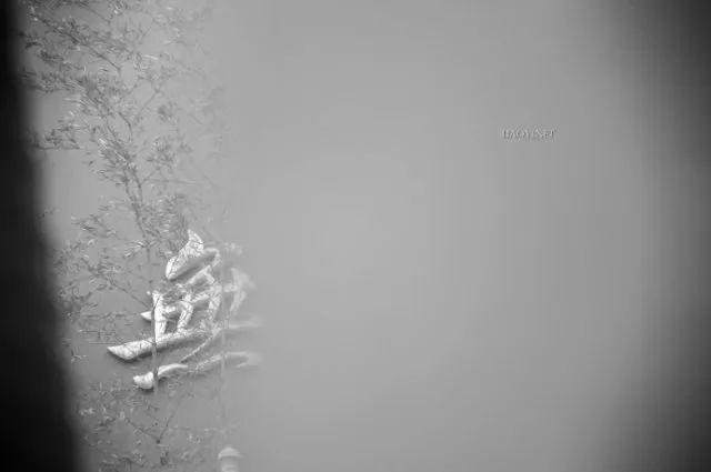 早安感悟171129：简单行走，简单做人
