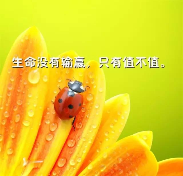 早上好正能量语录：奔跑着追求目标是一种境界，竭力地挑战极限是一种快乐