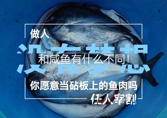 早安心语励志171130：我输过，我败过，但我从不曾放弃过
