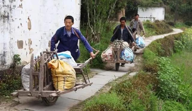 春风又吹红了花儿蕊，时光一逝永不回