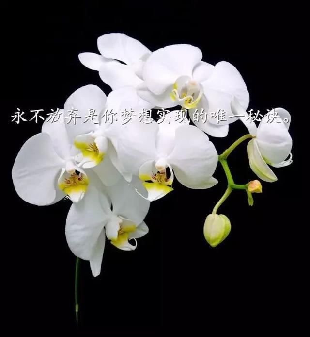 早安心语正能量171205：趁年轻埋头苦干，免来日仰慕求人