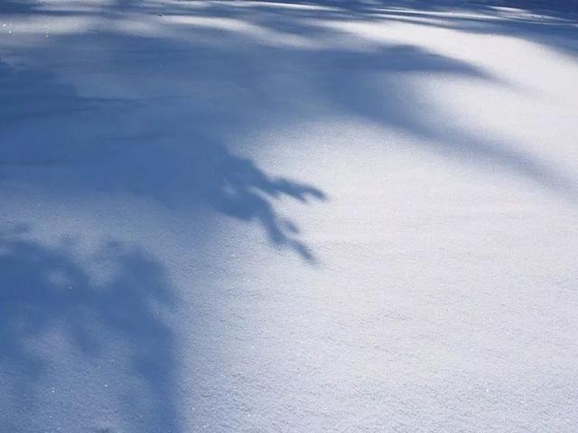 午安心语171206：失去一个人最有效的方法就是靠得太近