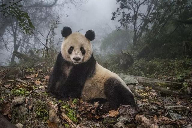 早安美图171207：先变成更喜欢的自己，路还长