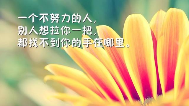 早安心语正能量180102：你不能拼爹，只能拼命