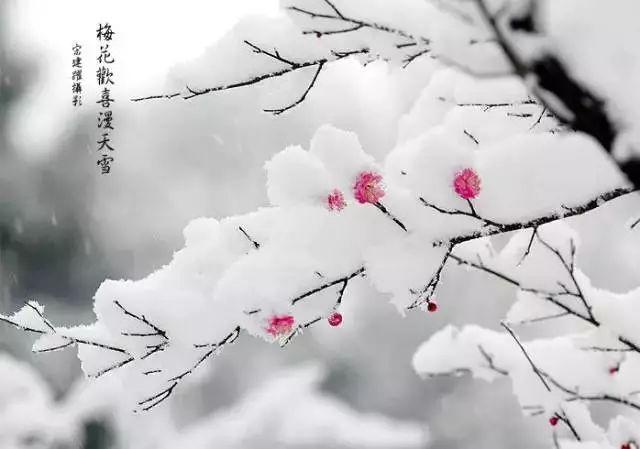 大雪节气：致我最在乎的人