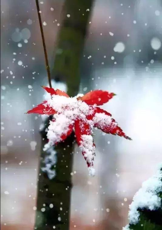 早安问候171217：天冷，多变的天气，不变的问候
