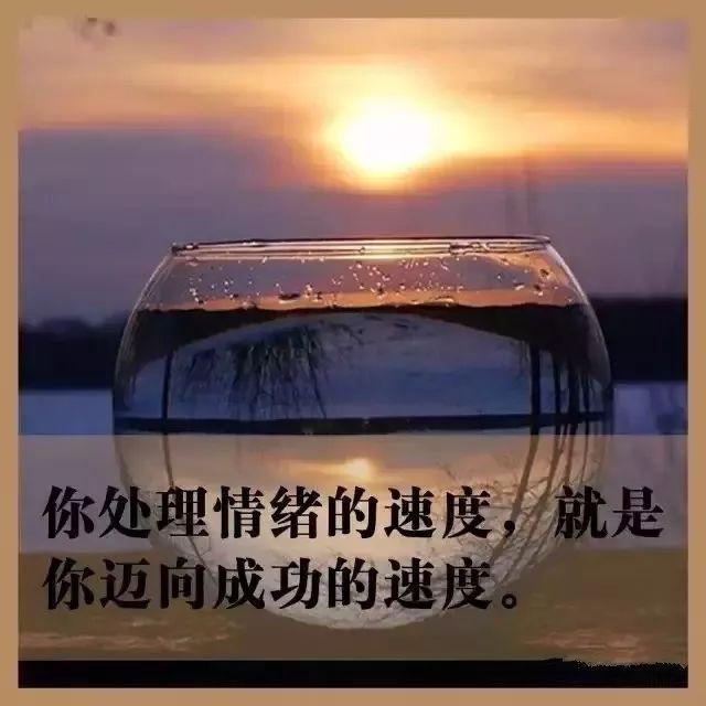 早安心语正能量171231：努力才叫梦想，不努力只能叫空想