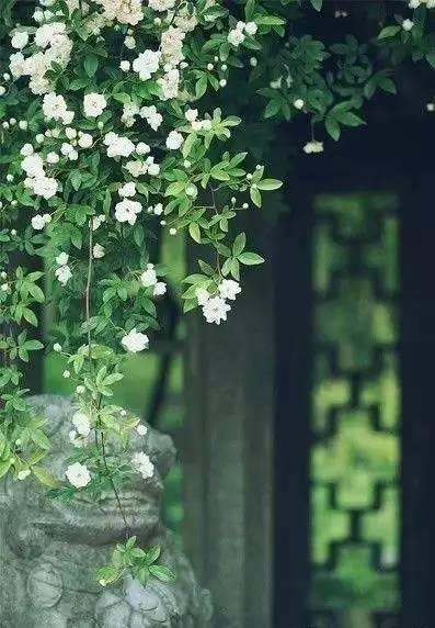 午安文字180102：新的一年，新的一天