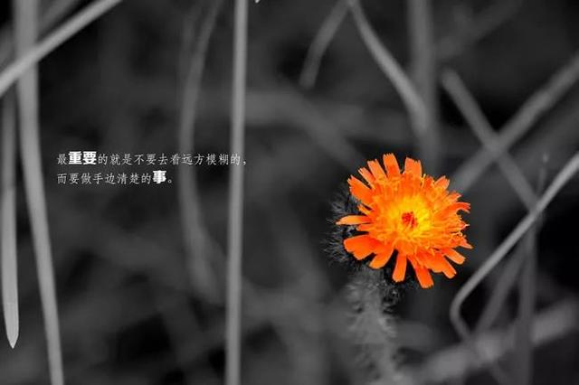正能量早安心语180411：最快的脚步不是跨越，而是继续