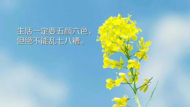 正能量早安心语190621：努力是人生最大出路，坚持是人生最大希望