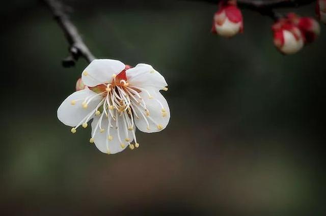 晚安句子180111：敏感源于自卑，自卑源于自己本事不够