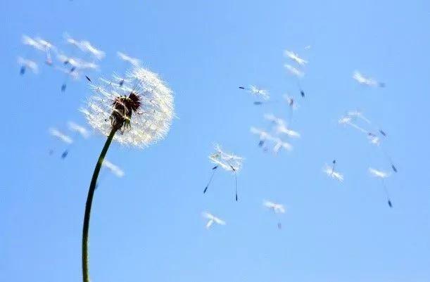 晚安句子180110：女人最好的嫁妆，就是一颗体贴温暖的心