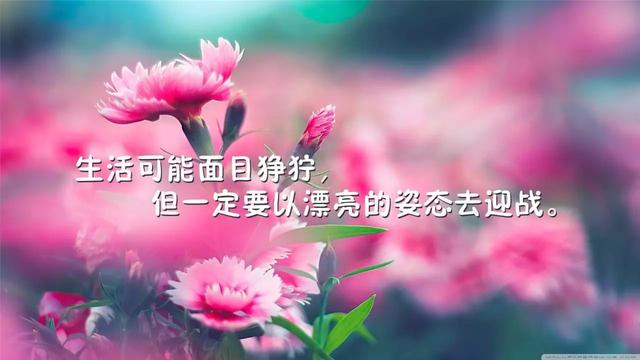早安心语正能量180225：只有你自己能给自己最大的安全感