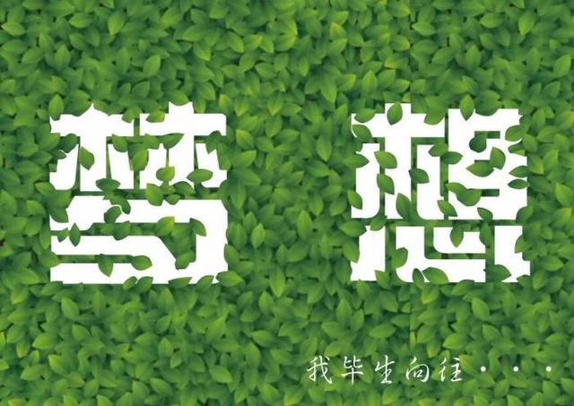 早安心语正能量180121：想是问题，做是答案