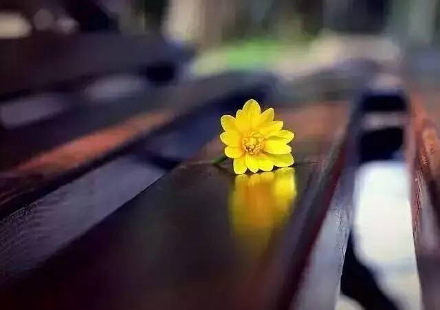 早安爱情180123：回忆里的那个人，你还好吗？
