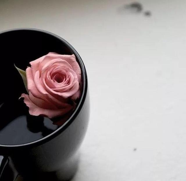 早安句子180123：愿你的性格里有一种从容不迫的力量
