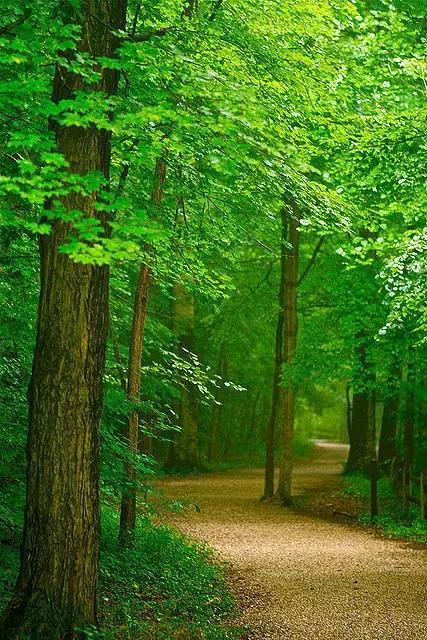 早安美图160512：杀人见血的是刀子，害人不浅的是污言