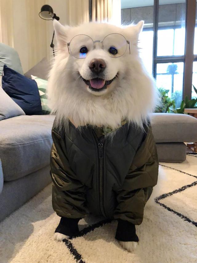 早安美图180204：有钱的主要好处是用不着看人脸色了