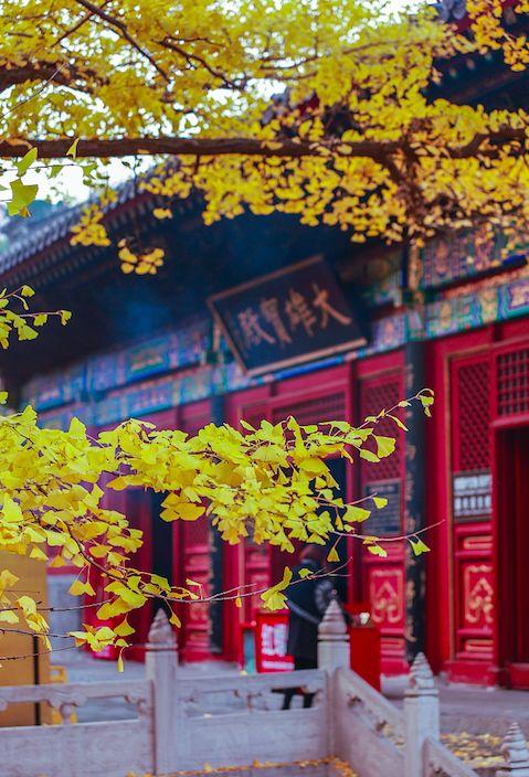 早安感悟180205：入世之心做事，出世之心做人