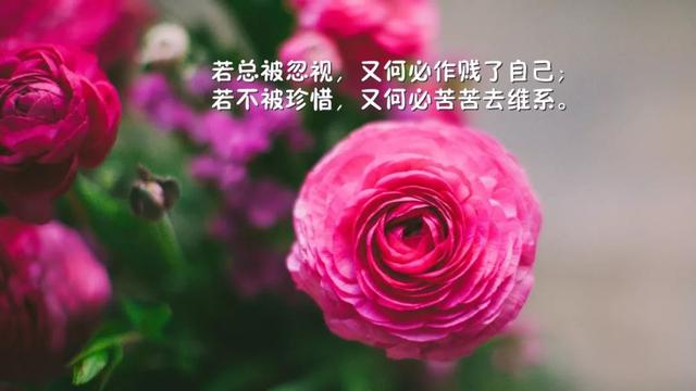周四早安正能量心语181213：除了行动，没有任何解答