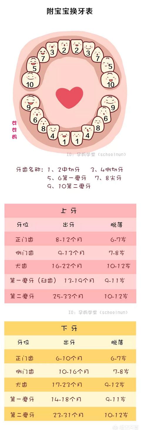 婴儿先长上牙死爸爸宝宝出牙期会发烧吗家长应该怎样做