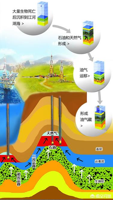 煤炭天然气石油是怎么形成的