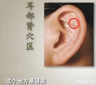 肾不好的人耳朵上会有什么信号