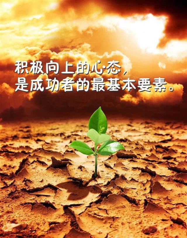 早安心语正能量180223：无论遭遇什么打击，都不要怀疑自己能力