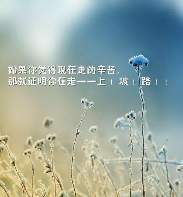 早安心语正能量180313：没有一份工作不辛苦，没有一个年纪不该努力