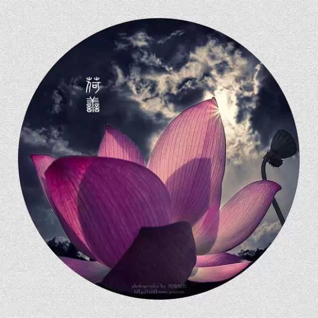 早安美图160528：不求朝暮相见，只想在灵魂深处相偎