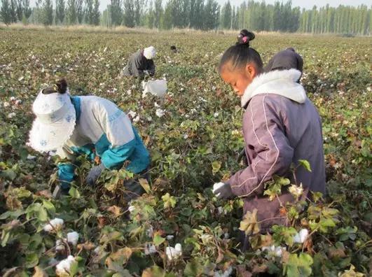 六一怀旧第二波：怀旧不是那时代多好，而是那时我们还年轻