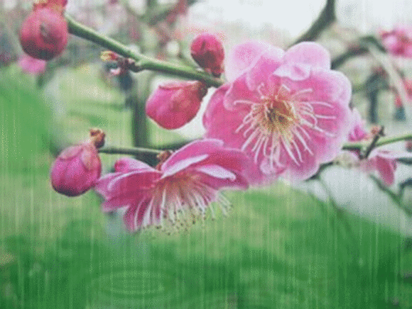 我们的生活是为谁而过