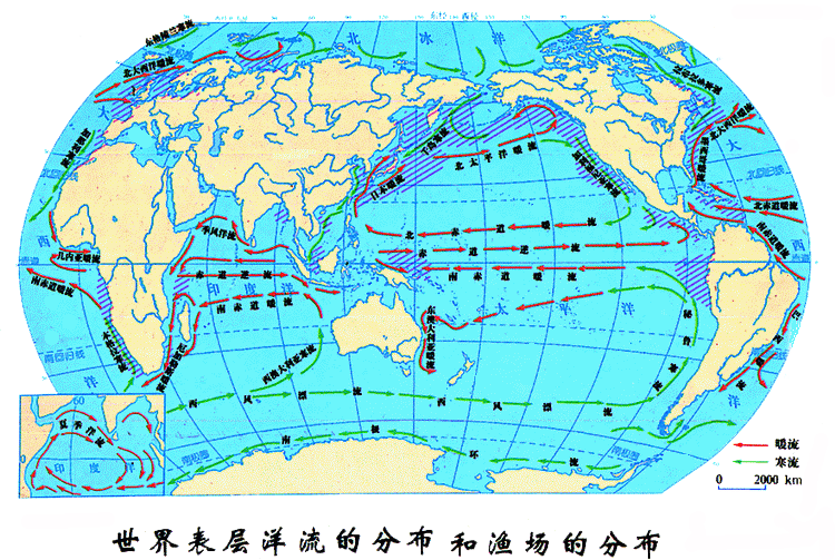 世界四大渔场形成的原因是什么