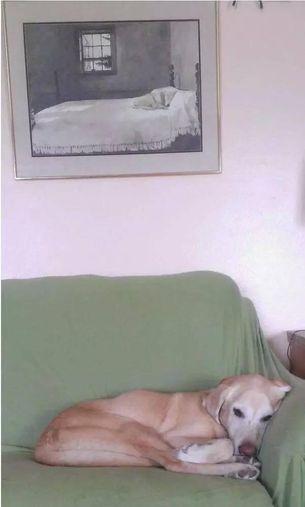 撞衫撞到隐了身