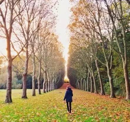 早安美图160618：你累了谁都指望不上