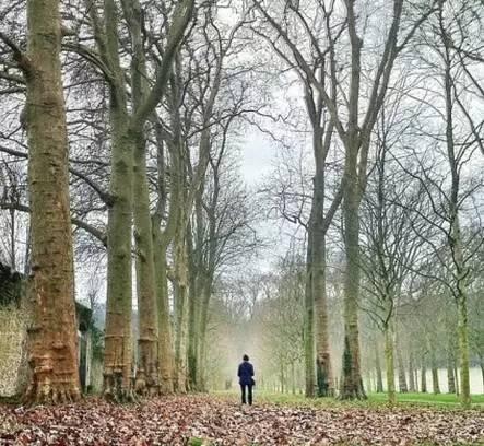 早安美图160618：你累了谁都指望不上