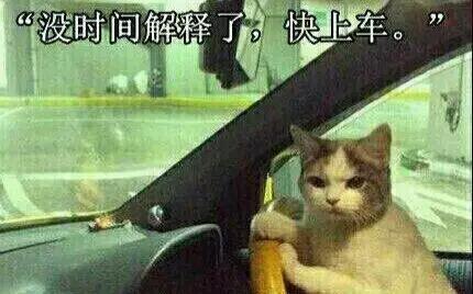 四川的猫吃辣吗?