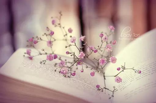 早安美图160622：为你难过而难过的是该放进心里的人