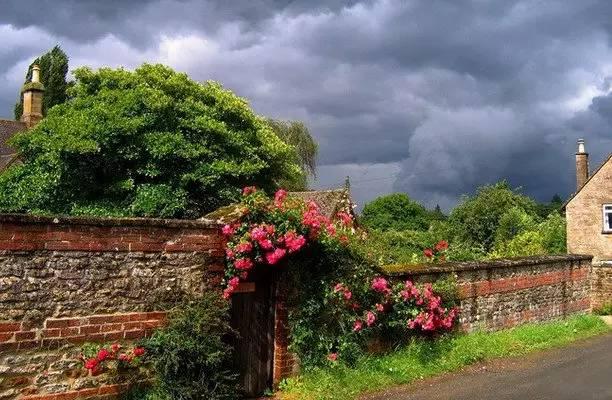 早安美图160624：老来三不管！老来三不争！