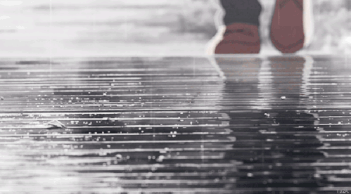 早安美图160615：我这里下雨了，你那里呢？