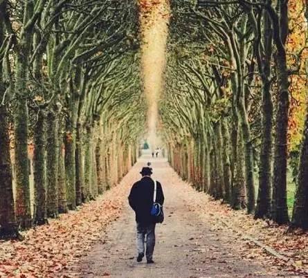 早安美图160618：你累了谁都指望不上