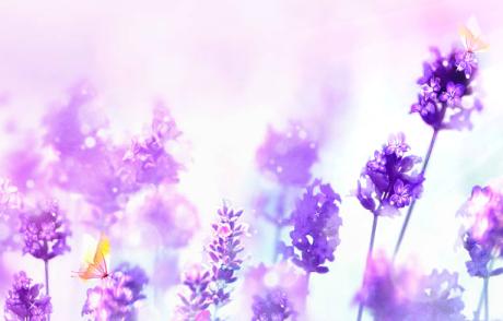 早安心语1601619：结婚，只是一种生活方式